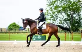 1M Nicolai Aldinger - fot. M.Flatow-8203