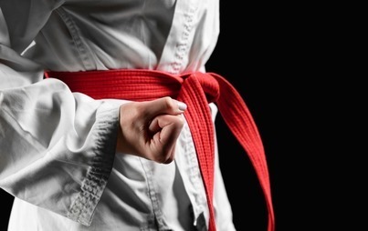 Zdjęcie do Medale dla szamotulskich zawodnik&oacute;w Karate