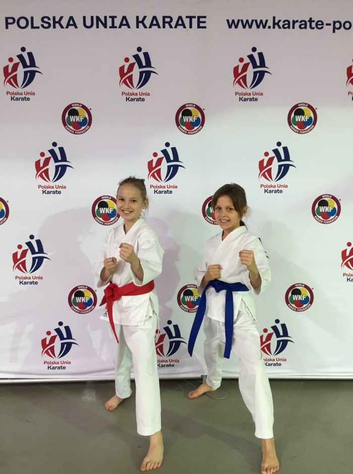 Międzynarodowy turniej karate Międzynarodowy turniej karate