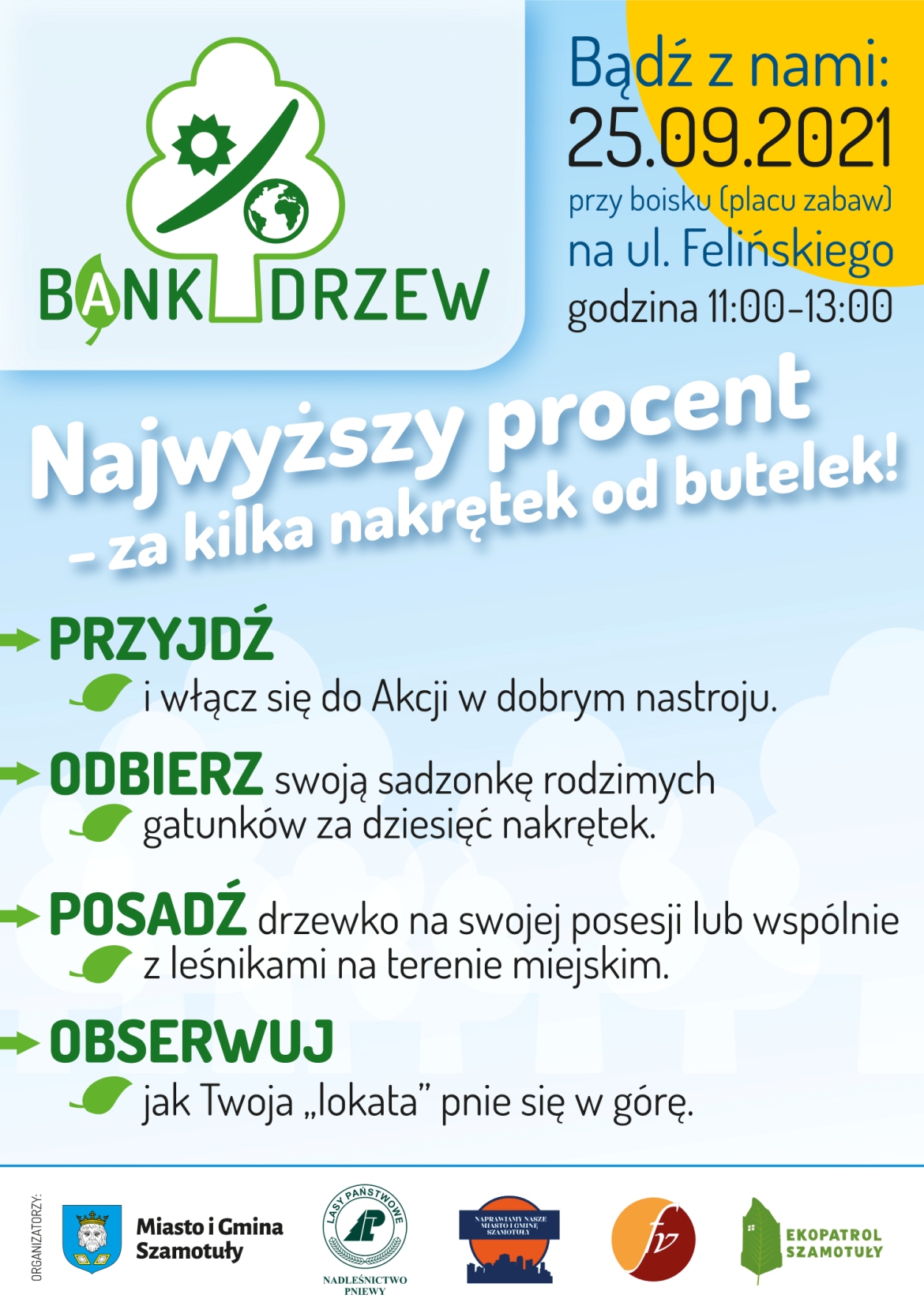 Plakat - Szamotulski Bank Drzew