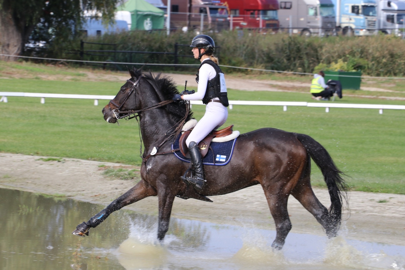 Zdjęcie - Baborówko Autumn Show