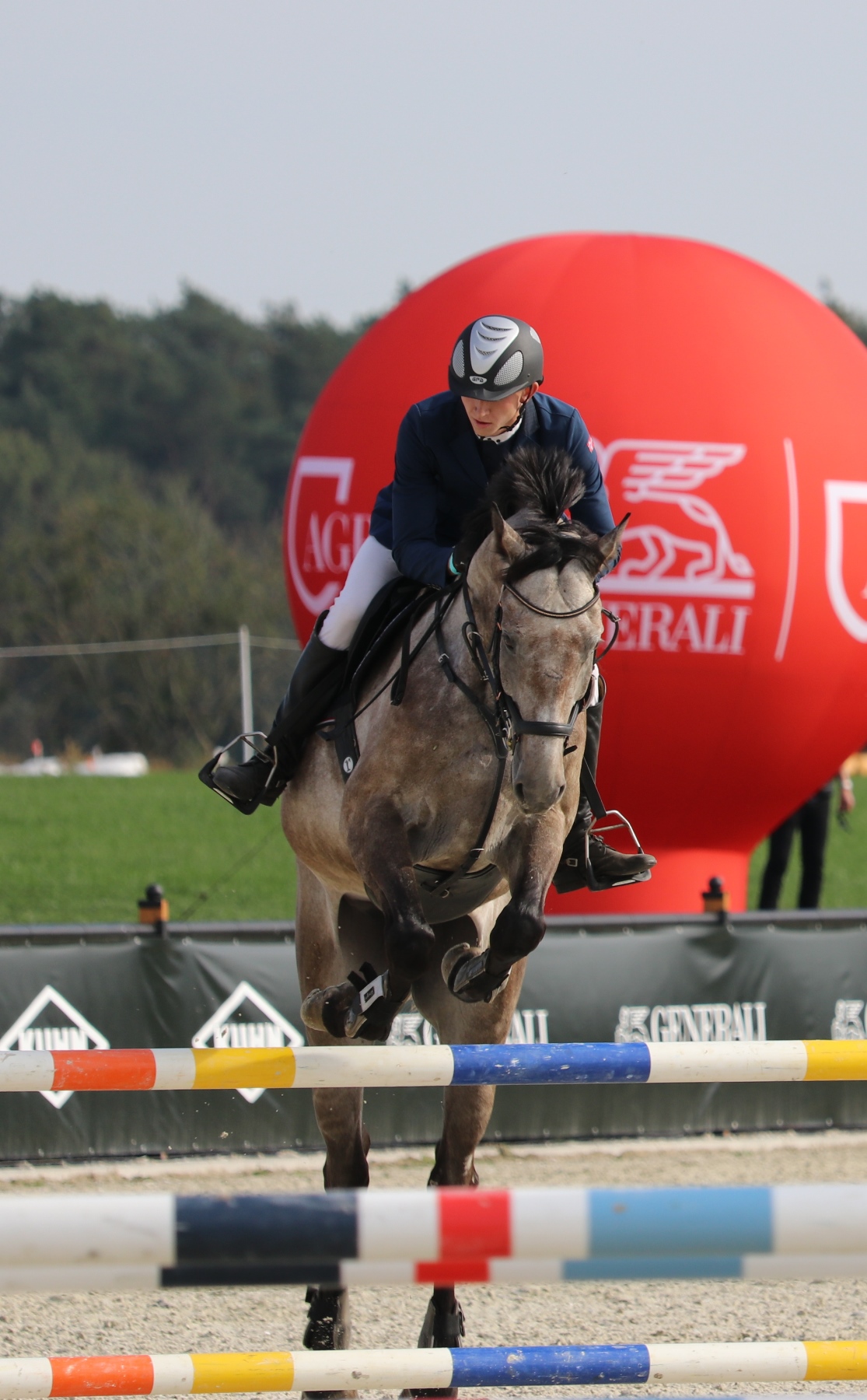 Zdjęcie - Baborówko Autumn Show