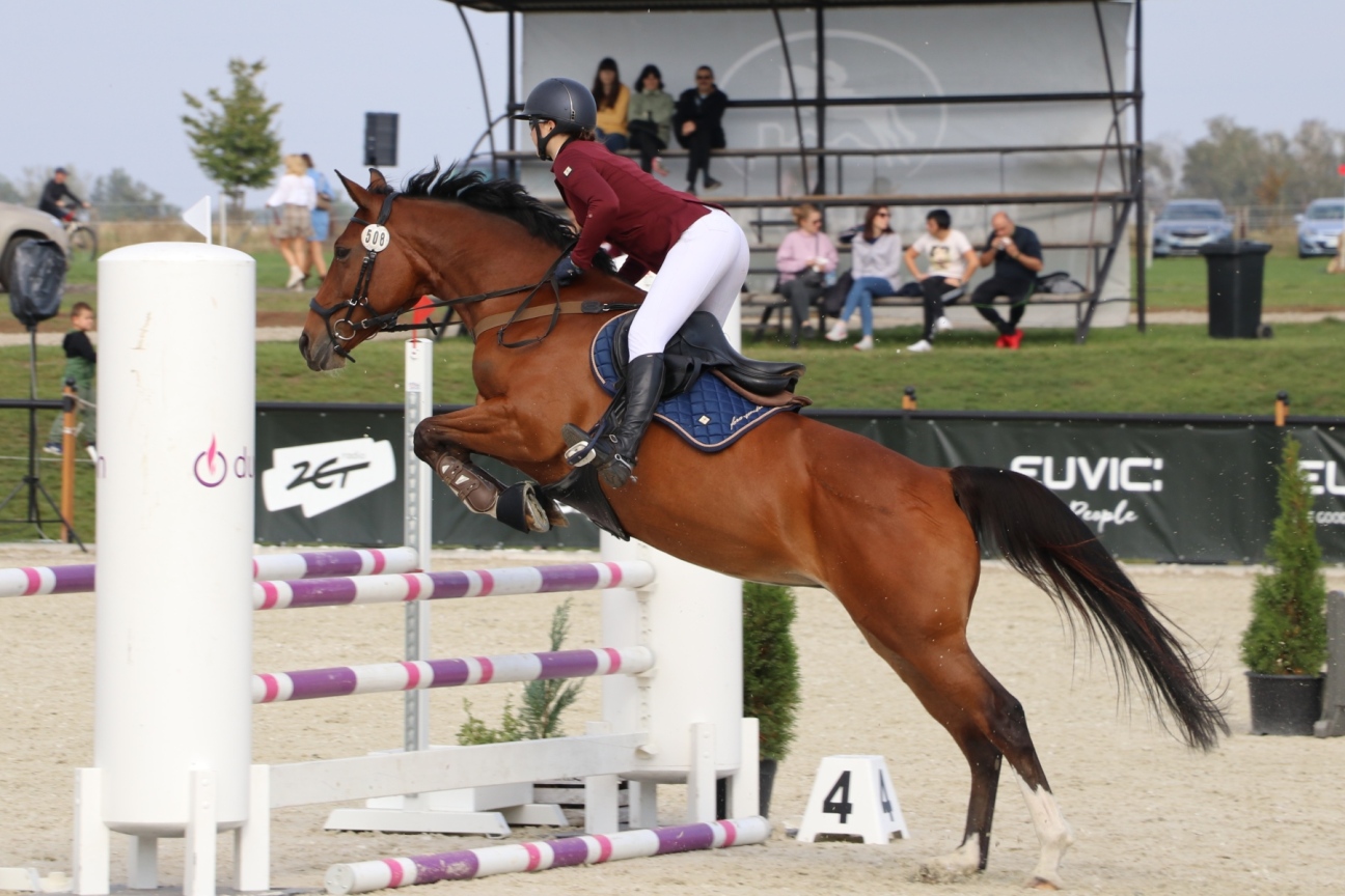 Zdjęcie - Baborówko Autumn Show