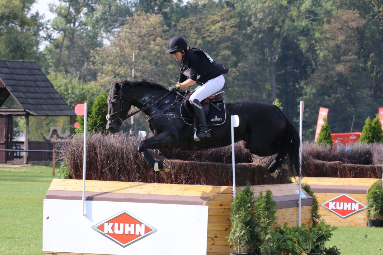 Zdjęcie - Baborówko Autumn Show