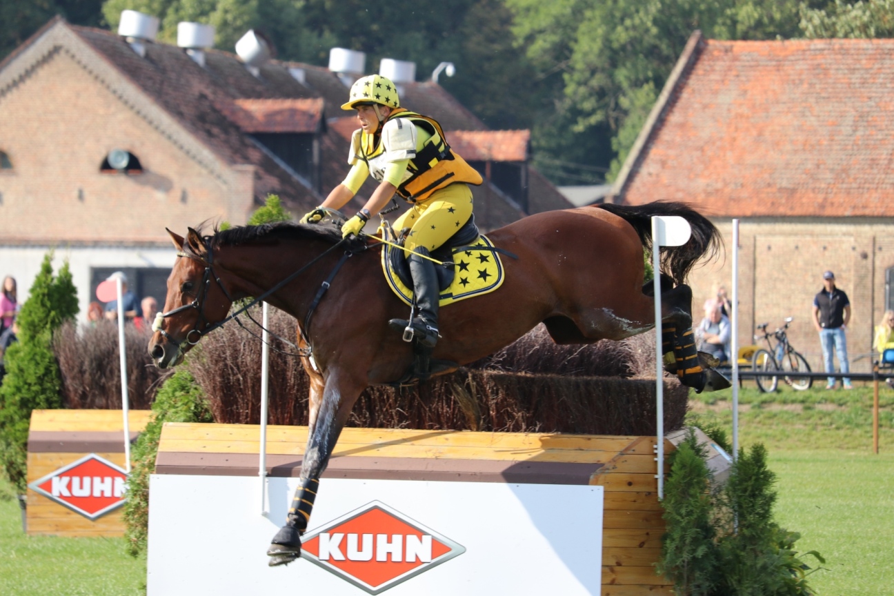 Zdjęcie - Baborówko Autumn Show