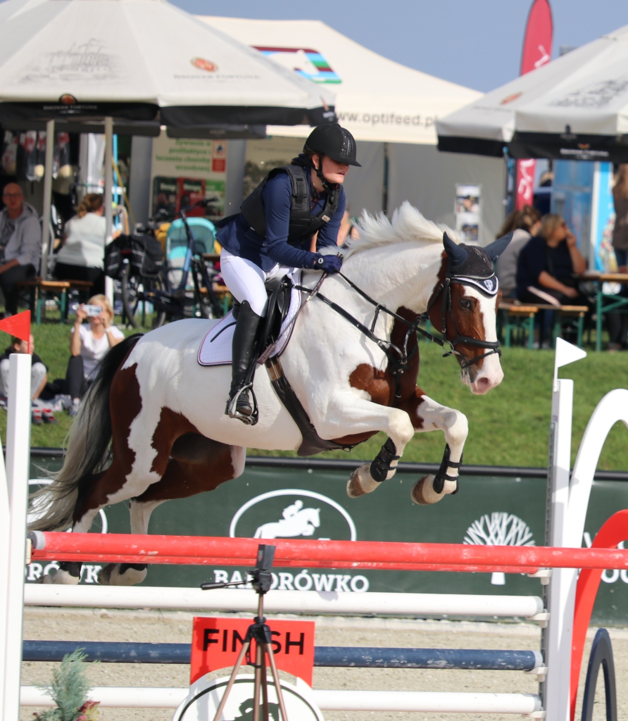 Zdjęcie - Baborówko Autumn Show
