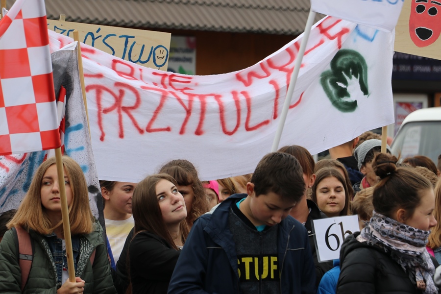 Zdjęcie - Przystanek PaT