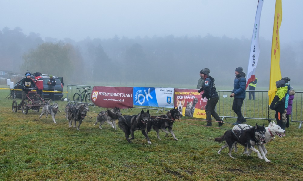 Zdjęcia z Pucharu psich zaprzęgów w Koźlu - Foto: Magda Prętka Zdjęcia z Pucharu psich zaprzęgów w Koźlu - Foto: Magda Prętka