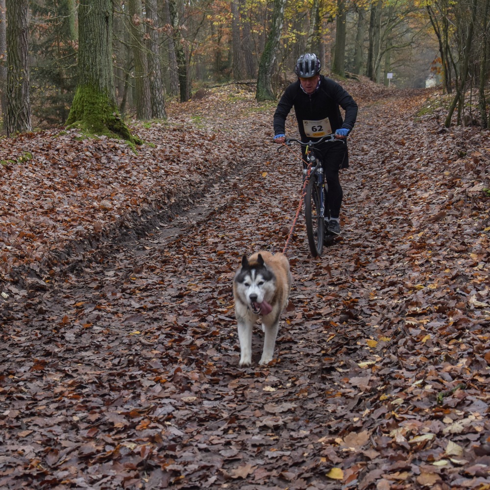 Zdjęcia z Pucharu psich zaprzęgów w Koźlu - Foto: Magda Prętka Zdjęcia z Pucharu psich zaprzęgów w Koźlu - Foto: Magda Prętka