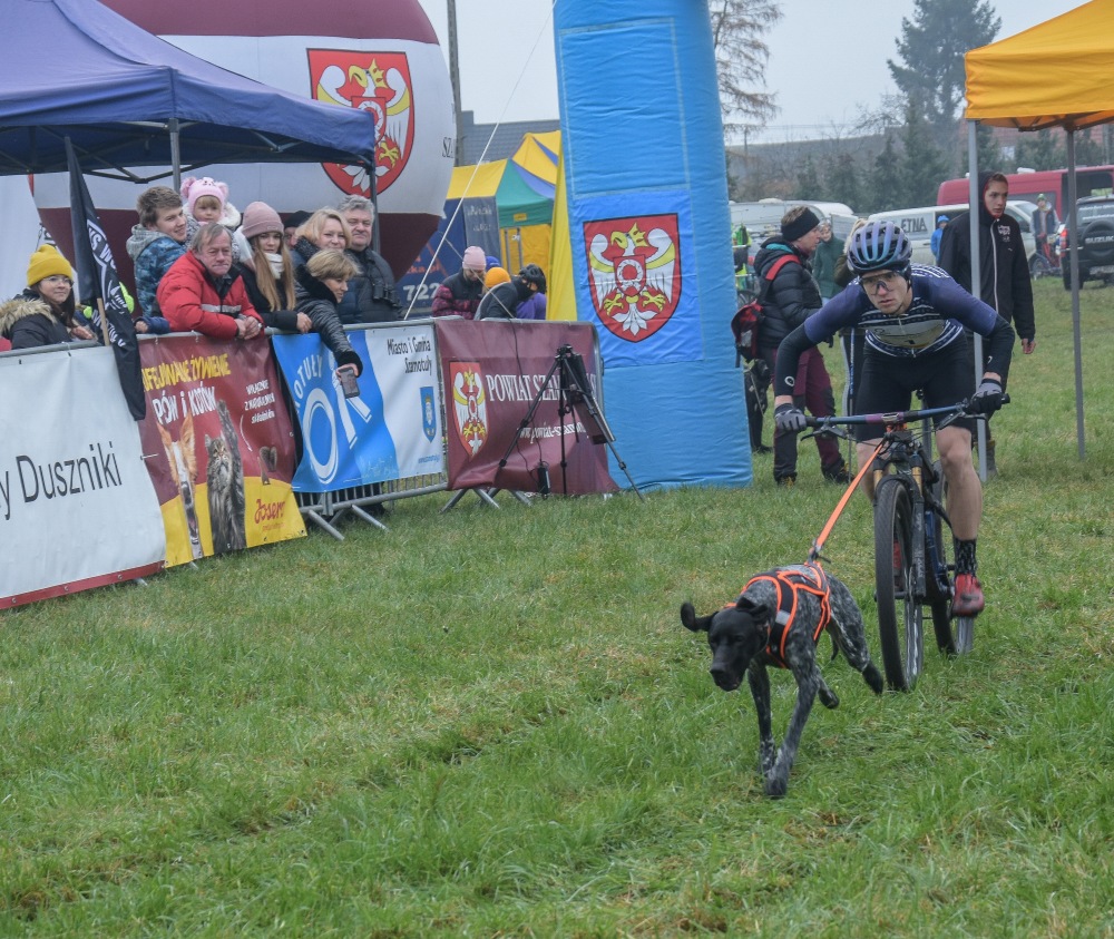 Zdjęcia z Pucharu psich zaprzęgów w Koźlu - Foto: Magda Prętka Zdjęcia z Pucharu psich zaprzęgów w Koźlu - Foto: Magda Prętka