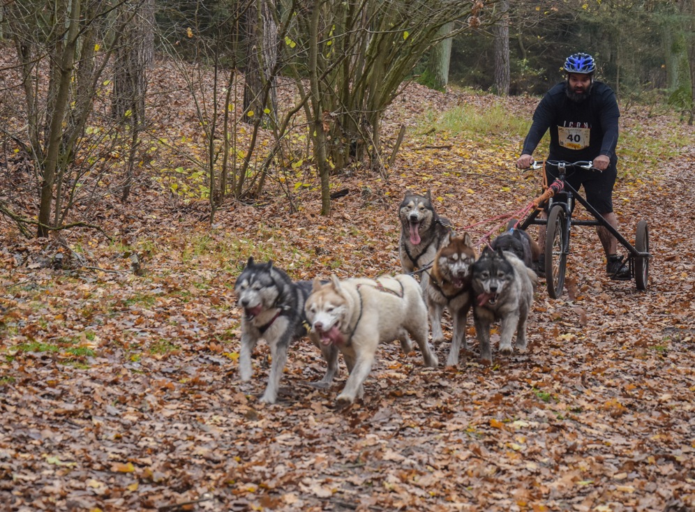 Zdjęcia z Pucharu psich zaprzęgów w Koźlu - Foto: Magda Prętka Zdjęcia z Pucharu psich zaprzęgów w Koźlu - Foto: Magda Prętka