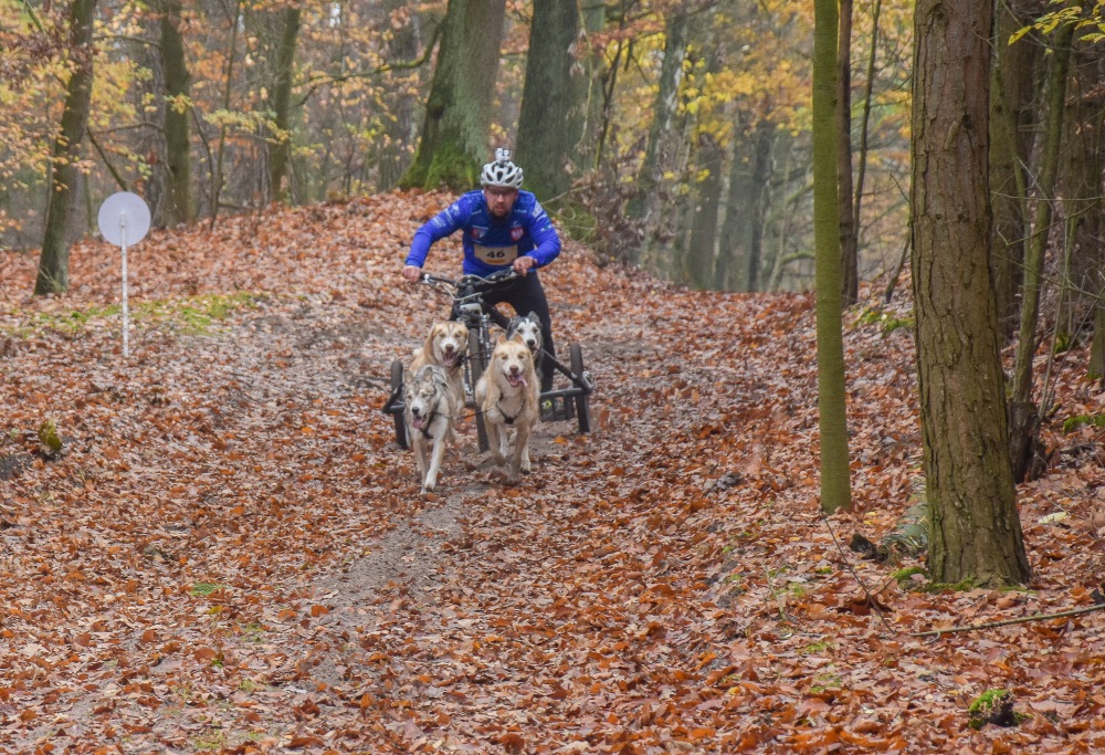 Zdjęcia z Pucharu psich zaprzęgów w Koźlu - Foto: Magda Prętka Zdjęcia z Pucharu psich zaprzęgów w Koźlu - Foto: Magda Prętka