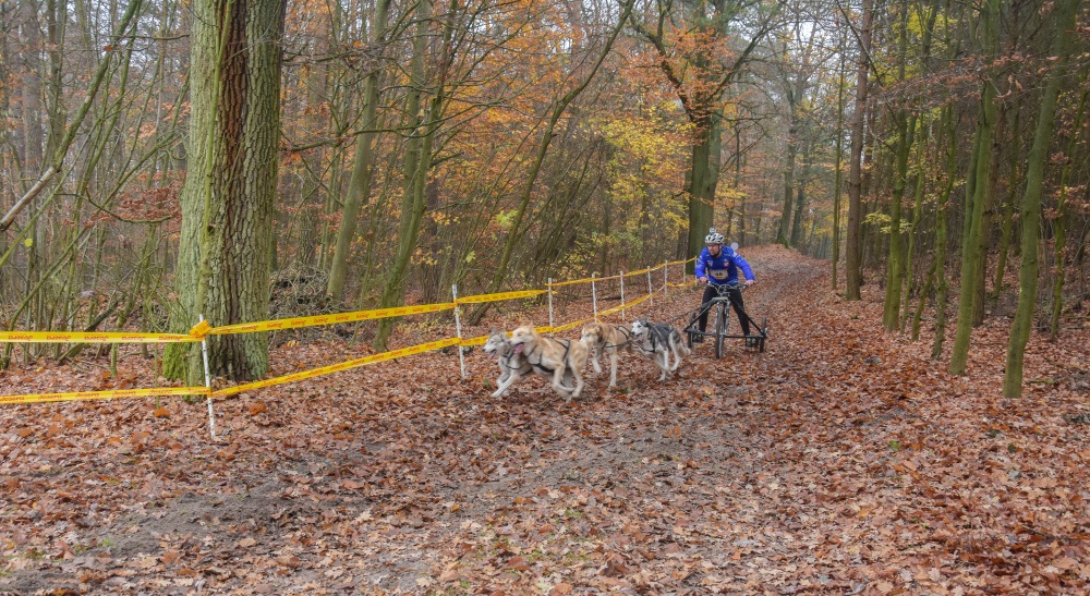 Zdjęcia z Pucharu psich zaprzęgów w Koźlu - Foto: Magda Prętka Zdjęcia z Pucharu psich zaprzęgów w Koźlu - Foto: Magda Prętka