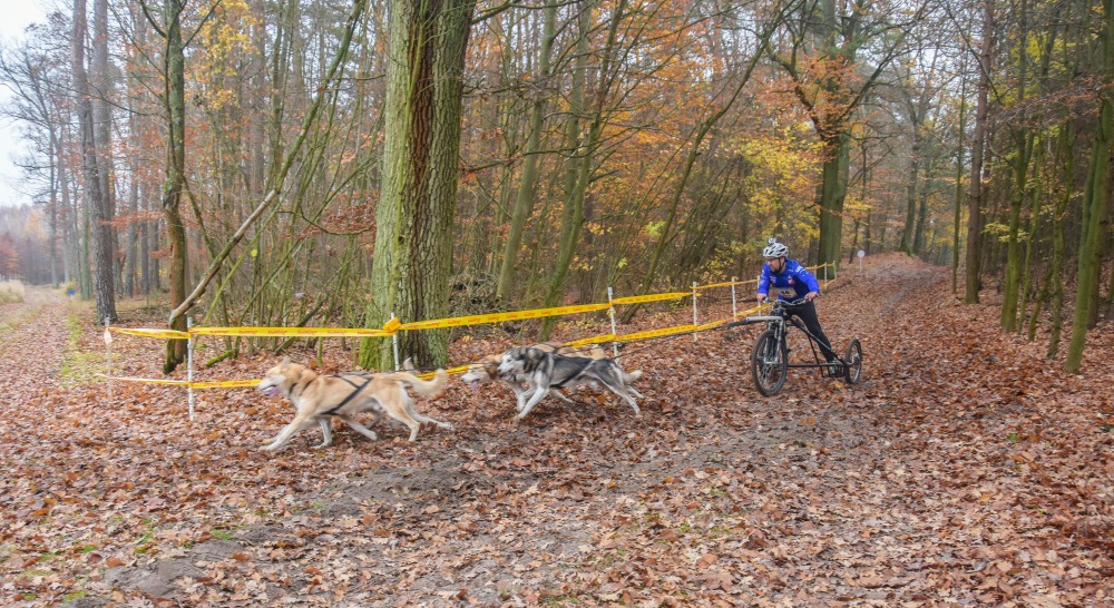 Zdjęcia z Pucharu psich zaprzęgów w Koźlu - Foto: Magda Prętka Zdjęcia z Pucharu psich zaprzęgów w Koźlu - Foto: Magda Prętka