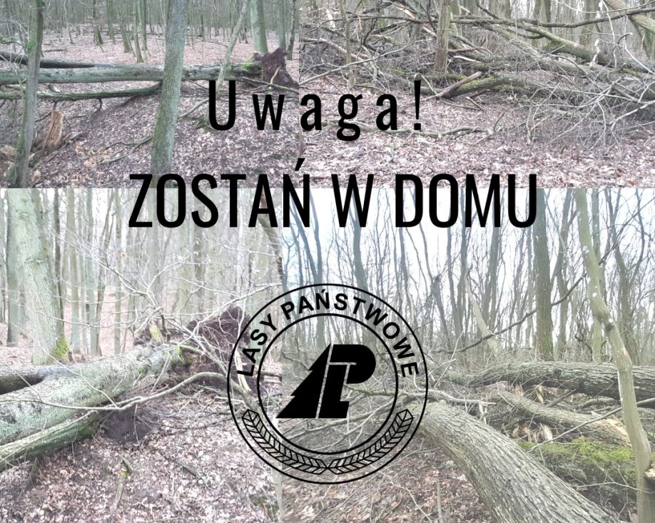 Zdjęcie - Uwaga! Zostań w domu