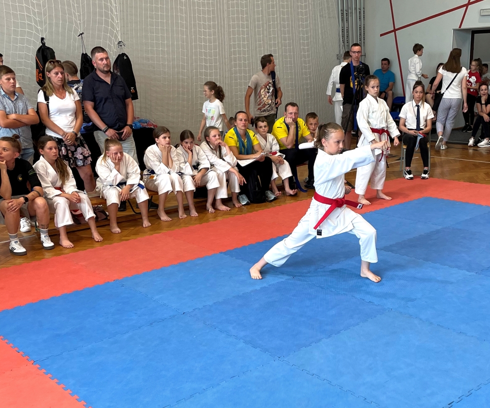 Zdjęcie - Zawody Karate