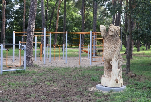 Zdjęcie - Nowe rzeźby w lasku przy ul. Leśnej