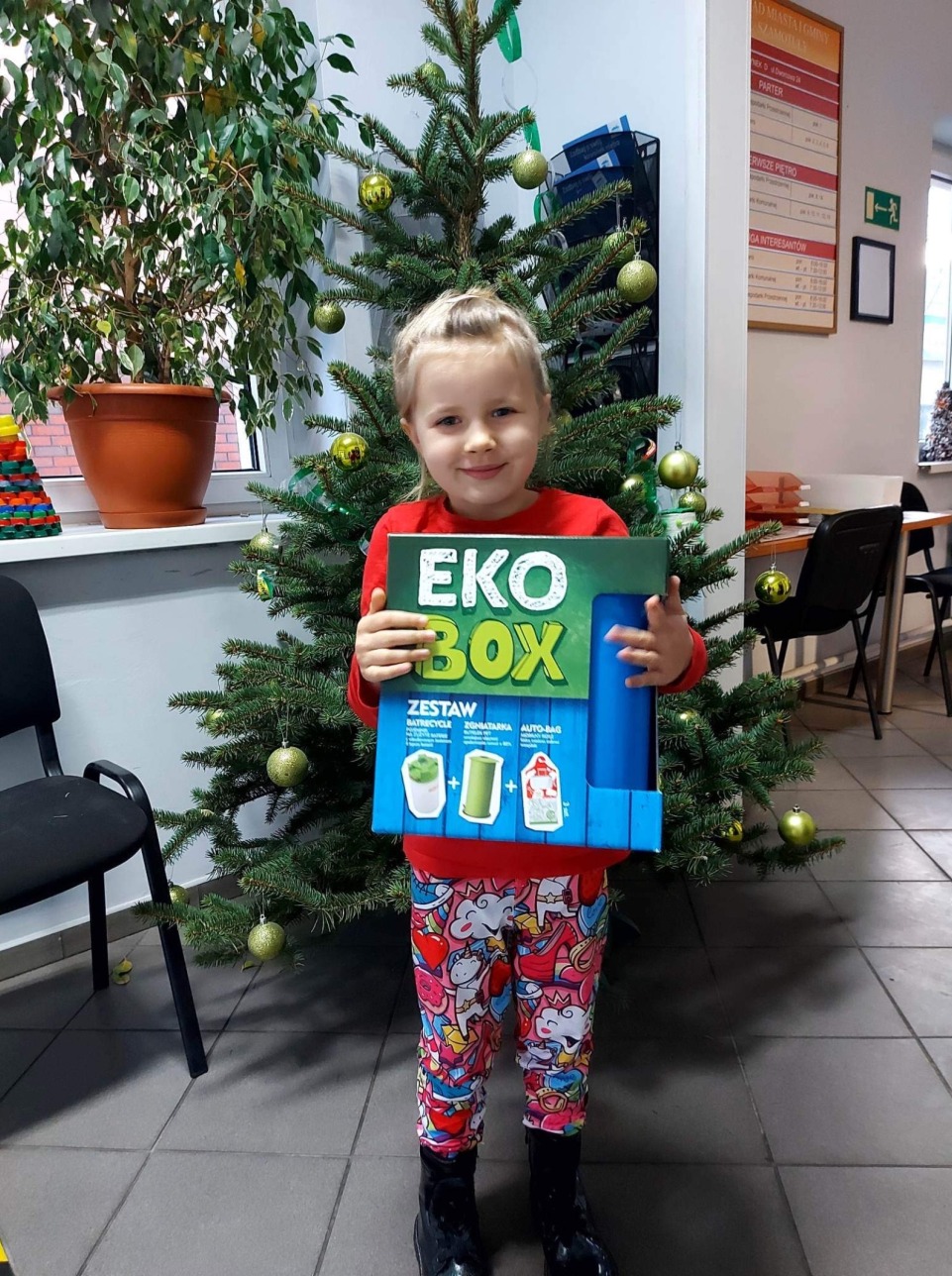 Zdjęcie - Eko Ozdoba Świateczna - Autorzy