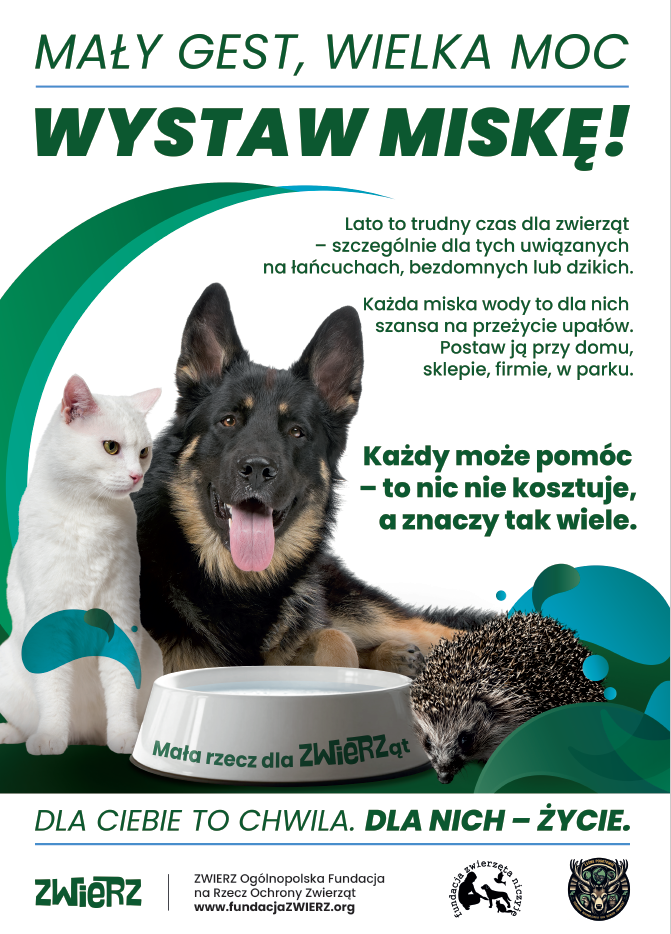 plakat reklamowy