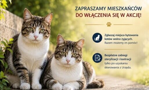 Zdjęcie do Zapraszamy do włączenia się w akcję!