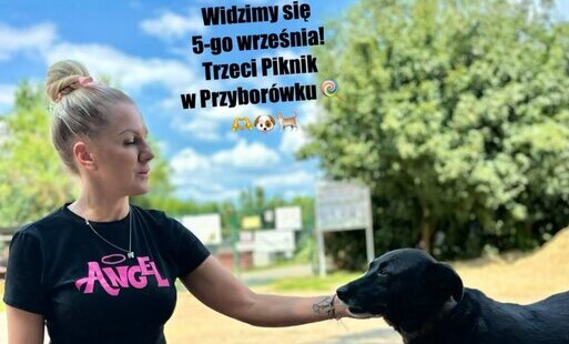 Zdjęcie do Trzeci Piknik w Przybor&oacute;wku