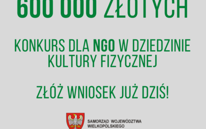 Zdjęcie do Szansa na dofinansowanie dla NGO 