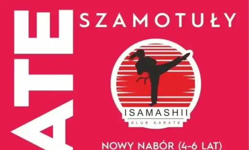 Zdjęcie do Nab&oacute;r - karate!