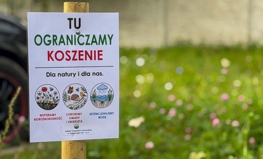Ograniczamy koszenie